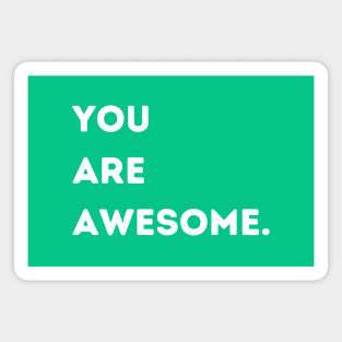 You Are Awesome Magnet